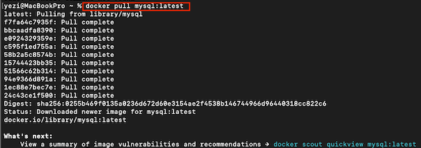 image-20241123182605627