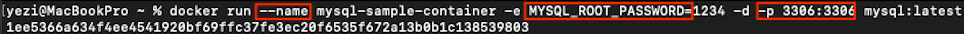 image-20241123183714131