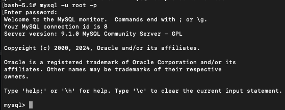image-20241123184150929